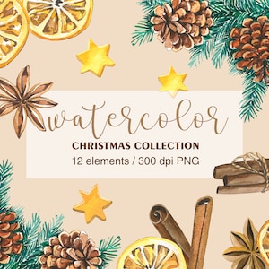 Watercolor Cinnamon Clip Art, Pine branch, Cones, Dry Lemons, PNG, Christmas watercolor, Winter watercolor clipart, Anise, Yellow Star Stick