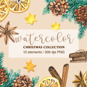 Aquarelle cannelle Clip Art, branche de pin, pommes de terre, citrons secs, PNG, aquarelle de Noël, clipart aquarelle hiver, anis, étoile jaune
