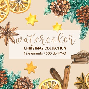 Watercolor Cinnamon Clip Art, Pine branch, Cones, Dry Lemons, PNG, Christmas watercolor, Winter watercolor clipart, Anise, Yellow Star Stick