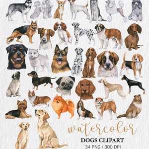 Watercolor Dogs Clipart, Pet clipart, Animal Clipart, PNG, Nursery Decor, Cute clipart, Watercolor Dogs portrait, Birthday Decor, dogs breed image 4