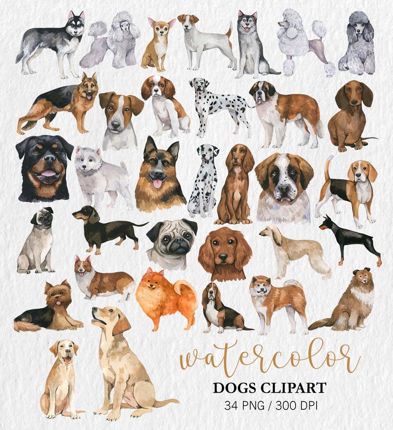 Watercolor Dogs Clipart, Pet clipart, Animal Clipart, PNG, Nursery Decor, Cute clipart, Watercolor Dogs portrait, Birthday Decor, dogs breed image 4