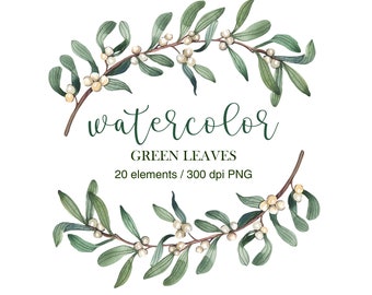 May include: Watercolor illustration of green leaves with white berries. The illustration is labeled "watercolor" and "GREEN LEAVES 20 elements / 300 dpi PNG".