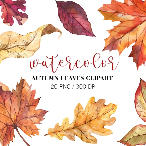 Watercolor Fall Leaves Clipart, Fall Clipart, Autumn  Decor, Woodland, Autumn Leaves Clipart, Fall Leaves, Thanksgiving Clipat, PNG, Forest