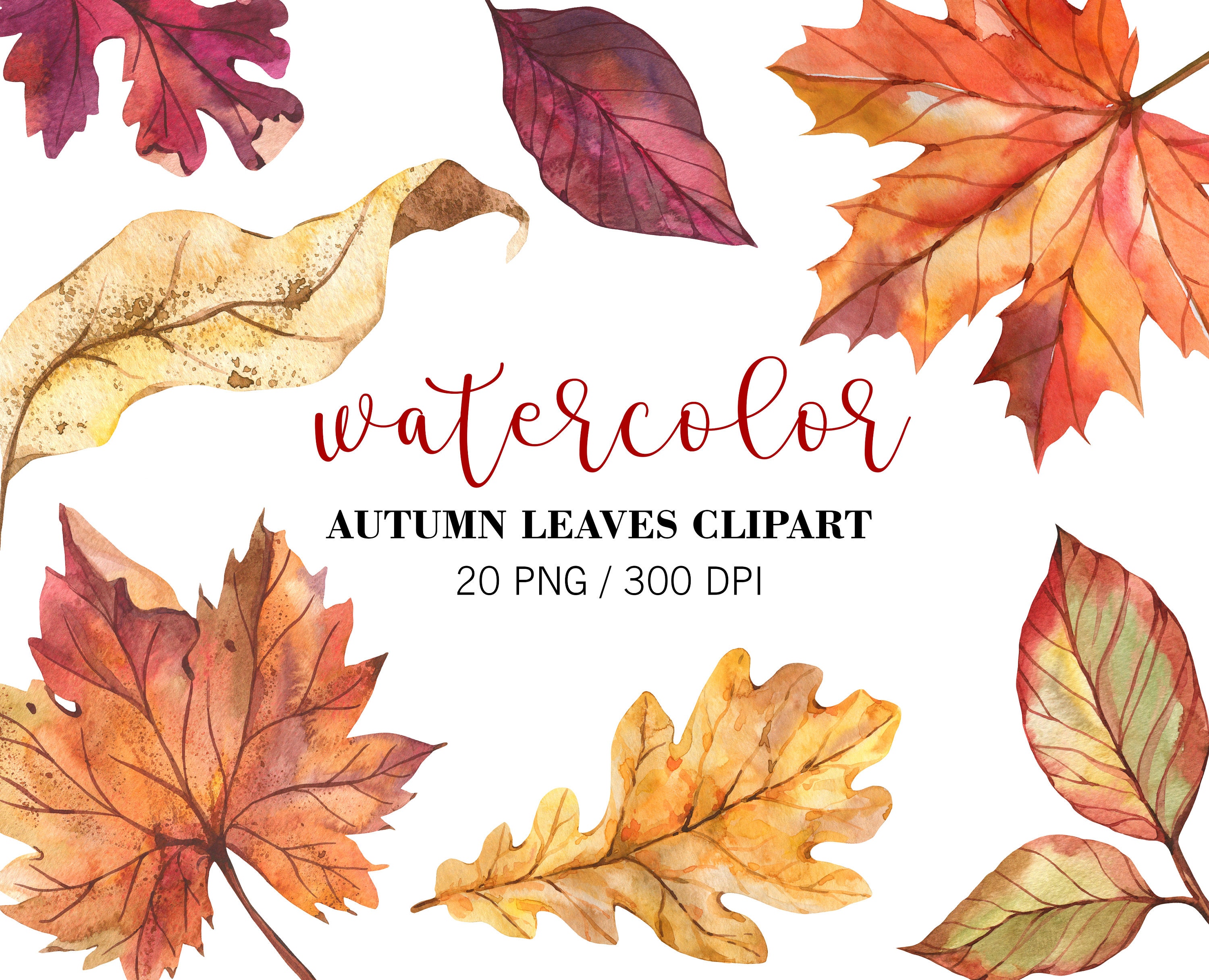 Leaf Leaves Fall Autumn Stencil (770) – Stencilville