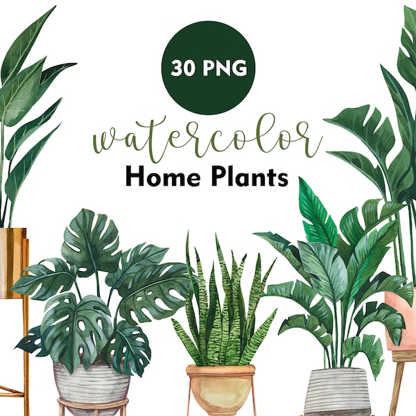 Imágenes Prediseñadas de plantas de casa de acuarela, plantas de interior, hogar verde, imágenes prediseñadas de plantas en macetas, decoración moderna del hogar, jardín de casa, imágenes prediseñadas del planificador, PNG