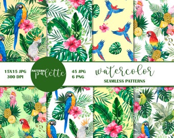 Estampados de loros tropicales en acuarela, estampado sin costuras de hojas tropicales, hojas de palmera monstera, flores tropicales, estampados de aves exóticas PNG