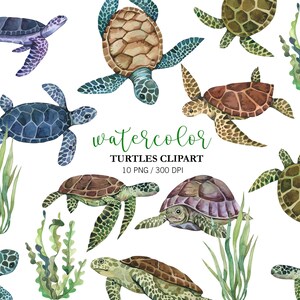 Watercolor Sea Turtles Clipart clipart, Cute Turtle PNG for Baby Shower, Birthday & Nursery Art, Hand-Painted Ocean Animal Illustrations image 1