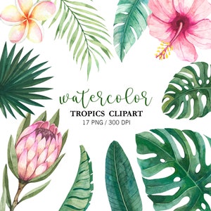 Watercolor Tropical Leaves Clipart Tropical clipart PNG Tropical Decor Summer clipart Tropical bouquet Palm Monsters Leaves  Wedding Decor