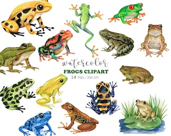 Watercolor Frog Clipart Bundle, PNG Frog Illustrations, Animal clipart, Tree Frog Clipart, Poison Dart Frog, Amphibian PNG, Nature Clipart