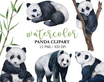 Watercolor Panda Clipart: Baby Panda, Bamboo PNG (Digital Download)