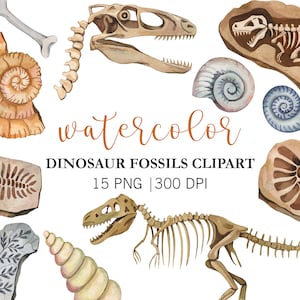 Aquarell Dinosaurier Fossilien Clipart, Dinosaurier Clipart Dinosaurier-Skelett, Dinosaurier-Knochen Clipart PNG, Lehrer Clipart, Turannosaurus Skelett