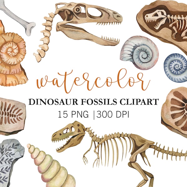 Aquarell Dinosaurier Fossilien Clipart, Dinosaurier Clipart Dinosaurier Skelett, Dinosaurier Knochen Clipart PNG, Lehrer Clipart, Turannosaurus Skelett