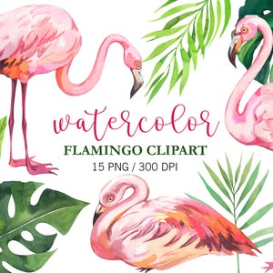 Clipart flamant rose aquarelle, flamant rose, clipart tropical, décoration de chambre d'enfant, PNG, clipart été, clipart exotique, floral tropical,