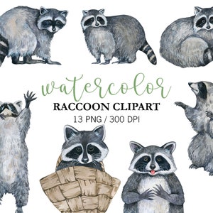 Raton laveur d'eau Clipart PNG peint à la main animaux Clipart illustration de raton laveur, Art mural déco chambre d'enfant, animal de la forêt, baby shower PNG