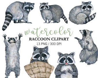 Watercplor Raccoon Clipart PNG Hand Painted Animals Clipart Raccoon Illustration, Nursery Decor Wall Art, Woodland Animal, Baby Shower PNG
