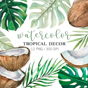 Imágenes prediseñadas tropicales de acuarela, imágenes prediseñadas de coco de acuarela, PNG, imágenes prediseñadas de Monstera, imágenes prediseñadas de la selva, bodas de Hawái, hojas de palma, imágenes prediseñadas de vegetación