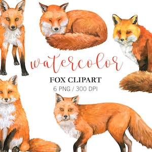 Aquarelle renard Clipart, Clipart animaux, PNG, décoration de chambre d'enfant, animaux de la forêt, décoration de fête d'anniversaire, art mural, animal de la forêt, autocollants animaux