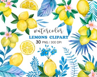 Paquete de imágenes prediseñadas PNG de limones en acuarela, hojas tropicales azules pintadas a mano y limones, gráficos cítricos de verano, La Dolce Vita Verano italiano