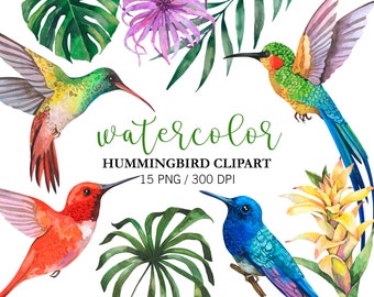 Watercolor Hummingbird Clipart, Summer Clipart, Exotic birds, PNG, Exotic Flower Clipart, Tropical Clipart, Colibri clipart, Floral Clipart