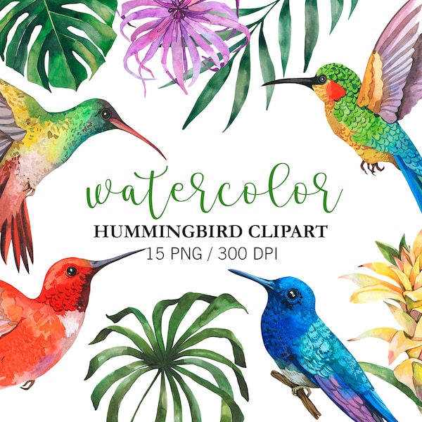 Watercolor Hummingbird Clipart, Summer Clipart, Exotic birds, PNG, Exotic Flower Clipart, Tropical Clipart, Colibri clipart, Floral Clipart