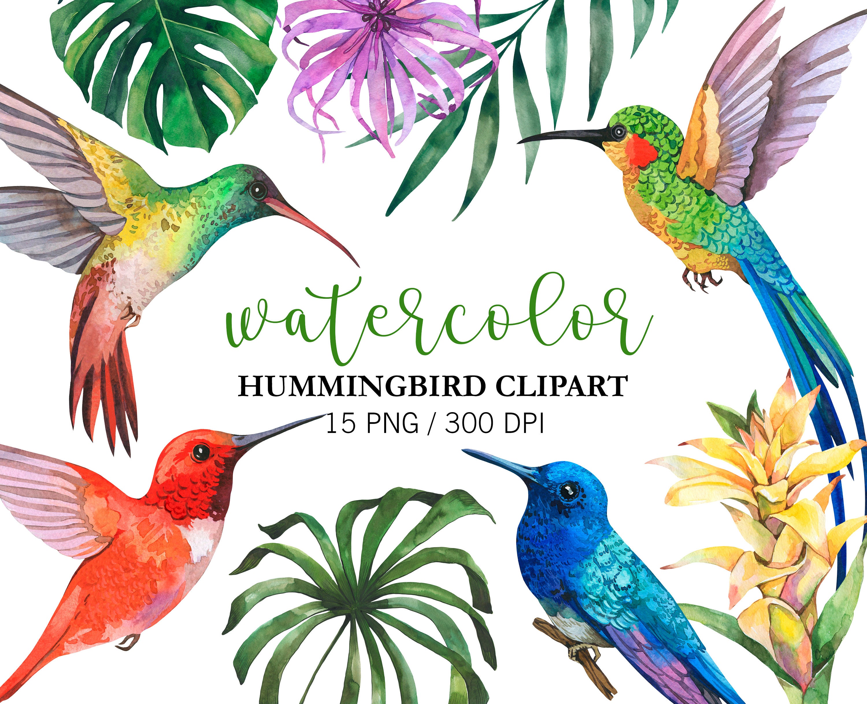 Hummingbird Silhouette Clipart People