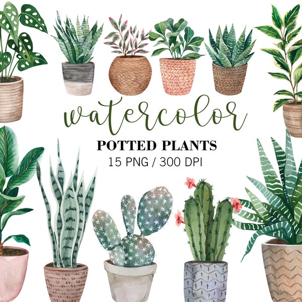 Watercolor Home Plants Clipart, Potted plants clipart, Cactus PNG, Succulent Clipart, Indoor Plants, Greenery Home, Planner Clipart, PNG