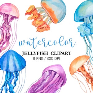 Watercolor JellyFish Clipart, Summer Clipart, PNG, Under the sea, Sea Animals, Nursery decor, Sea creatures, Sea life clipart, Medusa