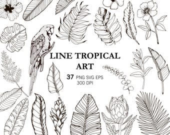 Tropical Leaves Clipart, Black Line Art, Simple line Leave, Tropical Plant, PNG, Monstera Leaf, Palm, Doodle Clipart, Botanical Art,