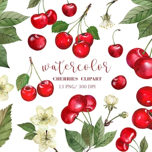 Aquarell Kirsche Clip Art, handgemalte Kirschen, Kirschobstbäume, Aquarell Obst Clipart, Aquarell Blumen Clipart, Kirsche PNG