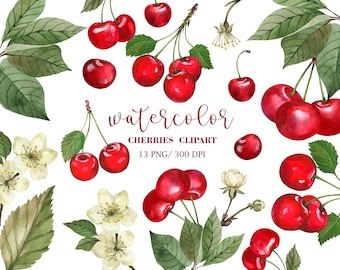 Watercolor Cherry Clip Art, Hand painted  Cherries, Cherry fruit trees, Watercolor fruit clipart, Watercolor Floral clipart, Cherry PNG