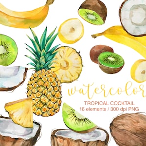 Imágenes prediseñadas de verano, imágenes prediseñadas de frutas tropicales de acuarela, imágenes prediseñadas de frutas, piña, rodaja de plátano, kiwi, coco, PNG, imágenes prediseñadas de frutas exóticas