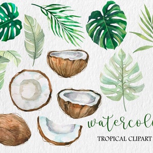 May include: Watercolor clipart featuring tropical leaves and coconuts. The leaves are green and the coconuts are brown with white interiors. The text "watercolor tropical clipart" is written in green at the bottom of the image.