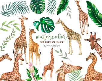 Jirafa en acuarela PNG, decoración de pared para guardería de safari, diseños para baby shower, imágenes prediseñadas de animales, hojas tropicales, pegatinas para planificador