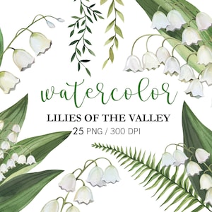 Clipart aquarelle de muguet, clipart floral, clipart fleurs aquarelle, clipart mariage, verdure PNG, compositions florales, bricolage
