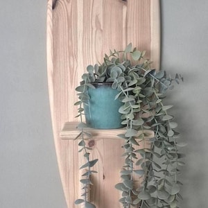 May include: A light-coloured wooden wall shelf shaped like a surfboard with two horizontal shelves. A teal ceramic pot sits on the lower shelf, containing a trailing green plant with small, round, silver-green leaves that hang downwards.