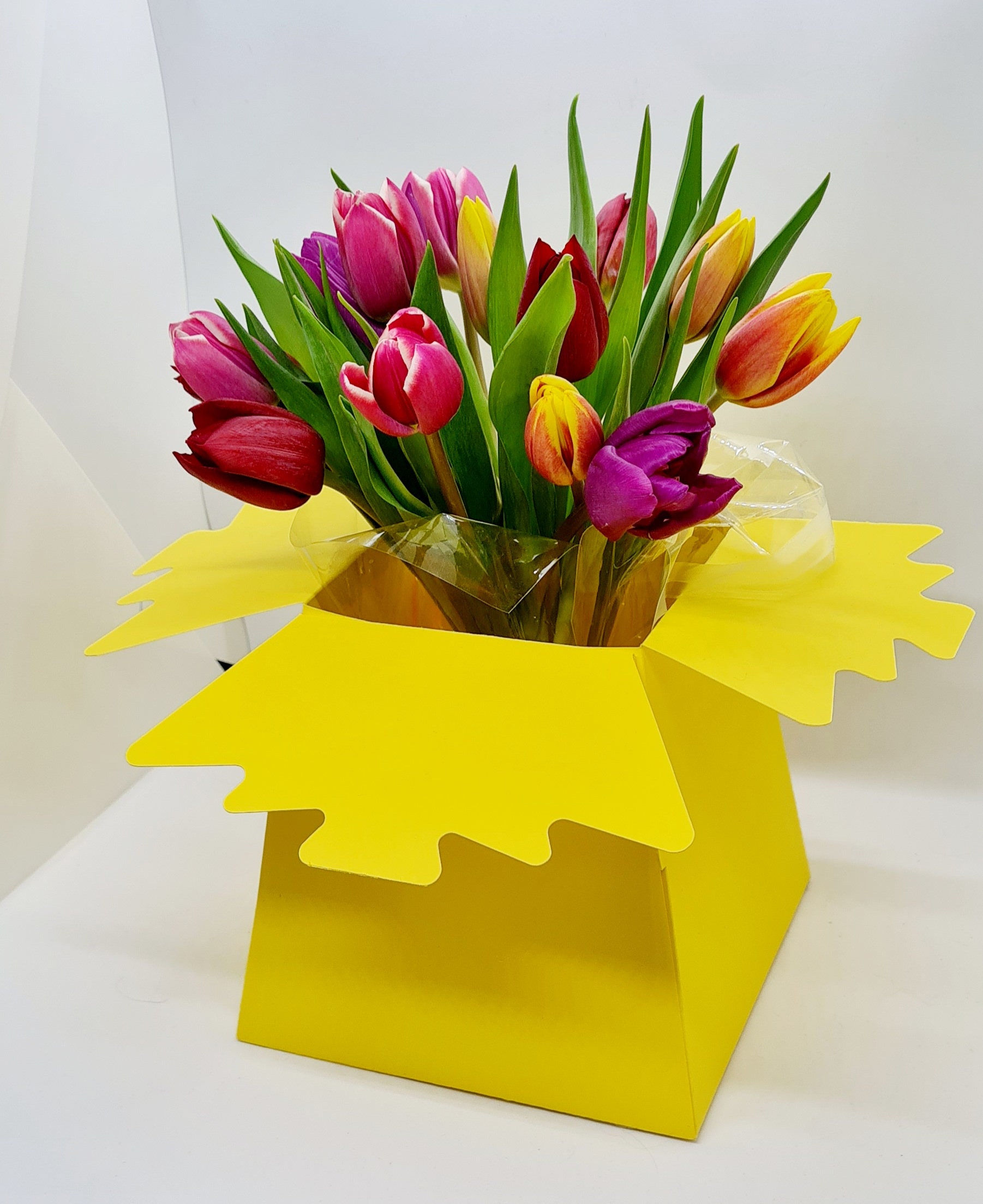 Flower Box Svg vrogue.co