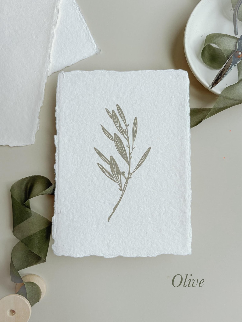 May include: A handmade, textured paper card with a printed olive branch design. The card is white with a deckled edge. The word "Olive" is printed in a soft green font. A green ribbon and scissors are also visible.