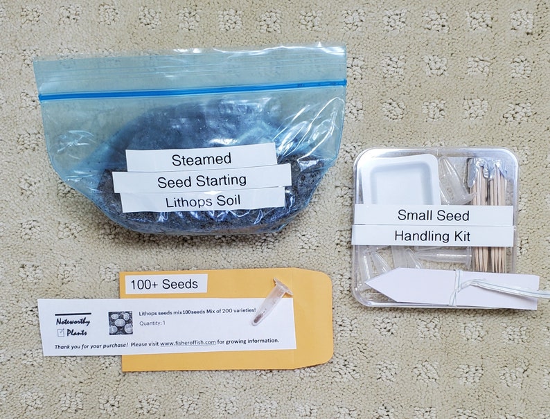 Lithops Seed Starting Kit. Complete With Lithops Seeds Soil Etsy