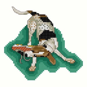 May include: A white, brown, and black dog with a red, yellow, and white toy in its mouth. The dog is lying on a green background.