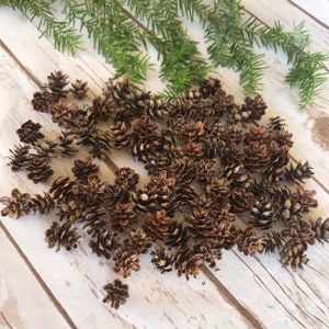 Mini pinecons, 50 mini cones, Christmas decor, rustic wedding, supplies, rustic decor, diy, crafts, farm house decor
