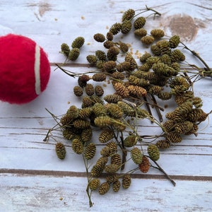Bulk alder cones, alder cones, alder cones , Christmas decor, rustic decor, farmhouse, decor, diy, diy supplies, decor