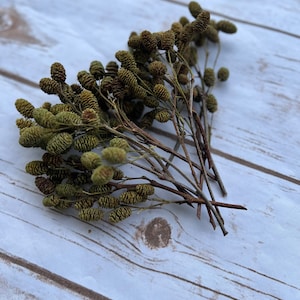 Bulk alder cones, alder cones, alder cones , Christmas decor, rustic decor, farmhouse, decor, diy, diy supplies, decor