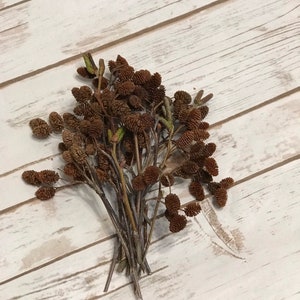 Bulk alder cones, alder cones, alder cones , Christmas decor, rustic decor, farmhouse, decor, diy, diy supplies, decor