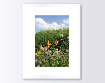 Wildflower Photograph, Colorful Photography Print, Wildflower Art, Wall Decor, Photograph Printed