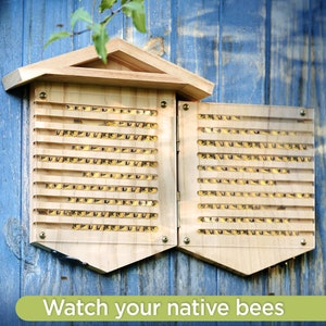 Rivajam Native Bee Observatory | Wax Coated Mason Bee House | Leafcutter Solitary Pollinating Bees House | Garden Patio Decor Gift