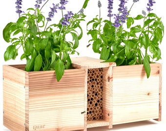 Rivajam Build a Bee House Planter Box DIY Flatpack Kit | Phragmite Reed Mason Bee Tubes Pollinator House & Wooden Planter Box Combo