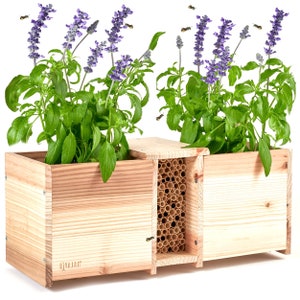 Rivajam Build a Bee House Planter Box DIY Flatpack Kit | Phragmite Reed Mason Bee Tubes Pollinator House & Wooden Planter Box Combo