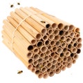Rivajam 125 Phragmite Reed Native Mason Bee Nesting Tubes | Natural Reed Tubes for Solitary Bee House Hotel