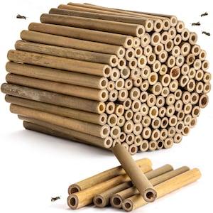 May include: A natural bamboo bee house with numerous hollow tubes, designed to attract solitary bees. The structure is cylindrical, with a bundle of bamboo tubes arranged together. Several loose bamboo tubes are also visible. The color is a natural light brown.
