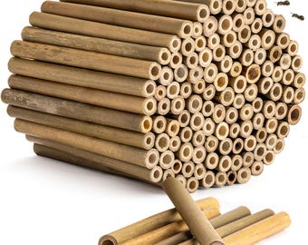 Rivajam 125 Pack Bamboo Tubes – Natural Craft Sticks for Mason Bee Houses, Garden Décor, Native Bees & Solitary Bees Supplies